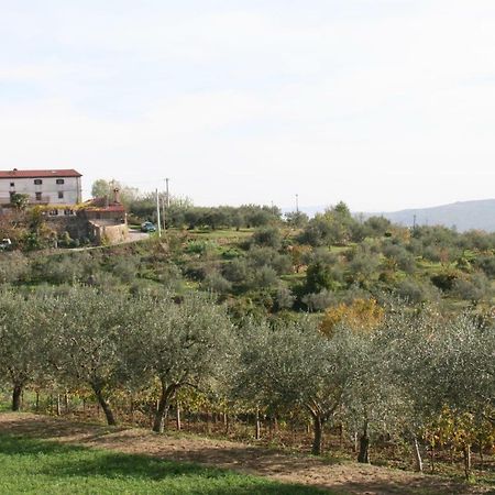 Olivia Διαμέρισμα Šmarje Εξωτερικό φωτογραφία